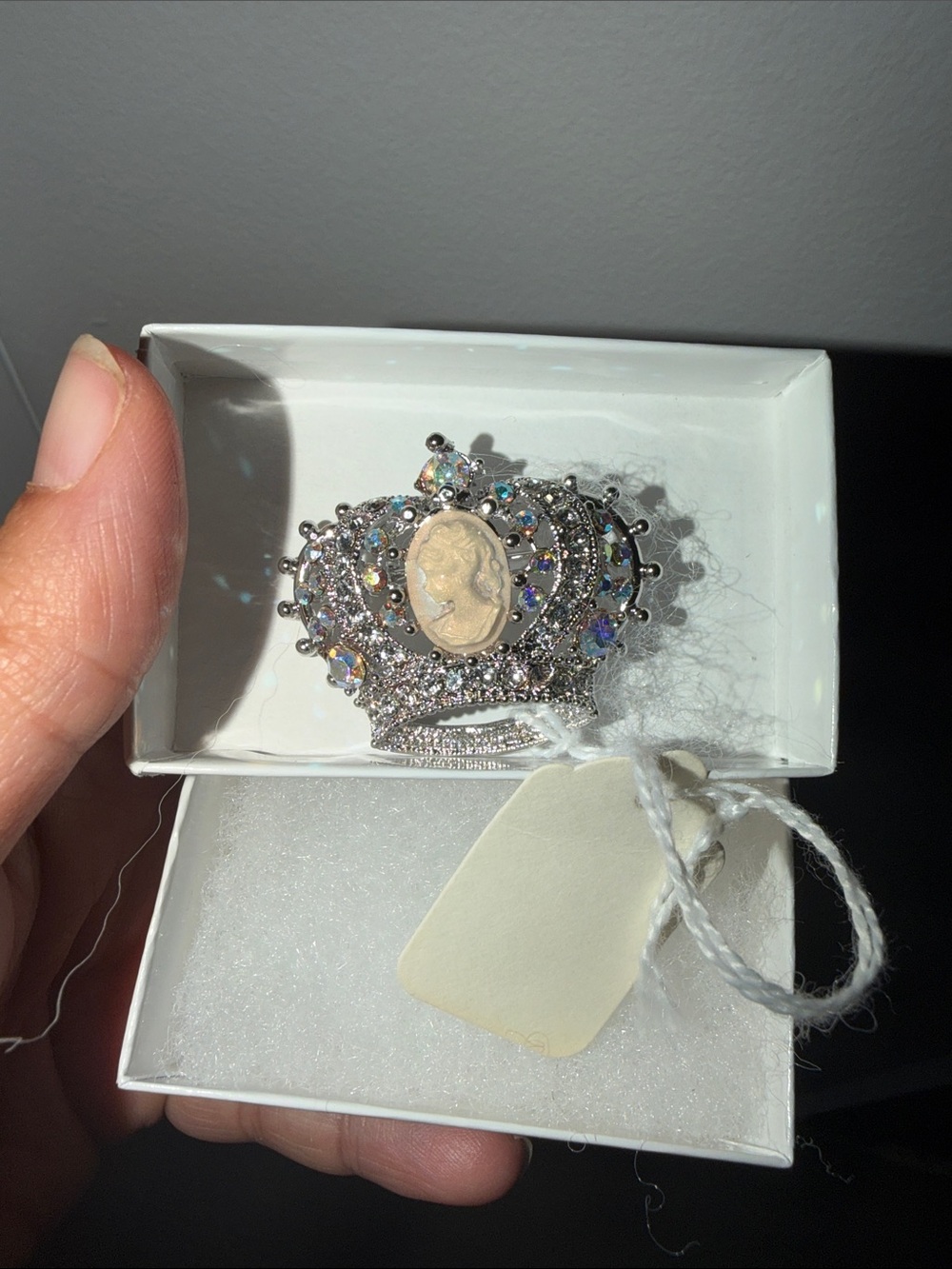 Cameo Crown Brooch Pin in Silver with Iridescent Stones